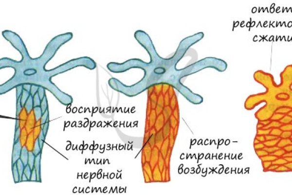 Как вернуть аккаунт на кракене