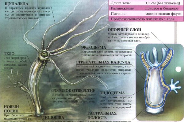 Кракен вход на сайт