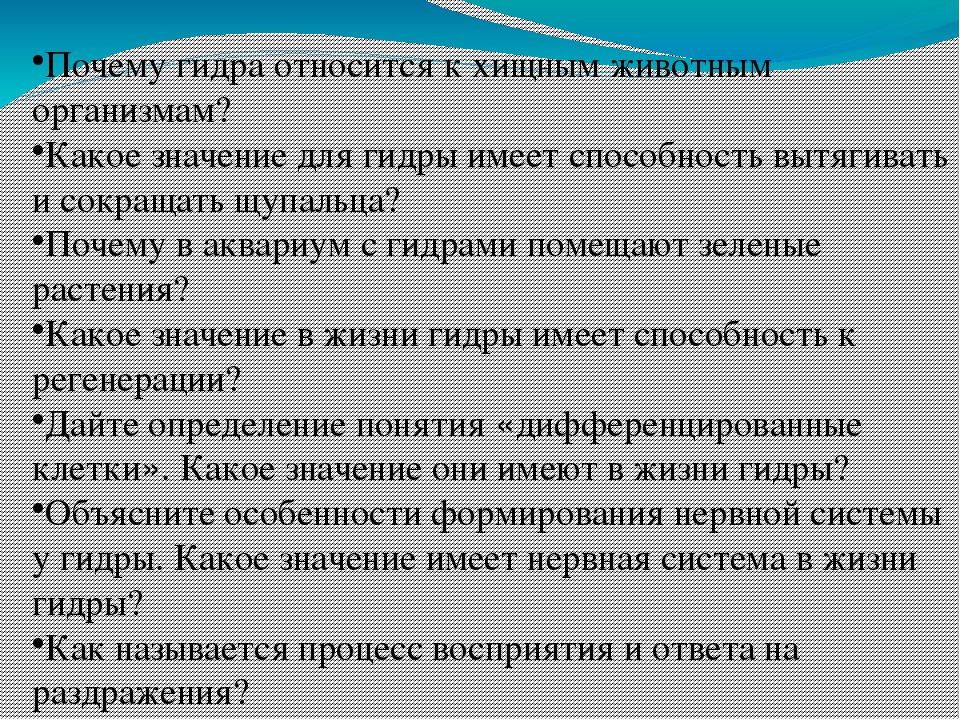 Как зайти на кракен через тор браузер